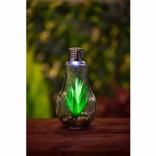 Succulent Solar Light Bulb 2 Succulent Solar Light Bulb - Image 2