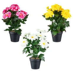 B&M Zinnia Plant Pot - Yellow -Garden Supply Store 392826 zinnia in pot group