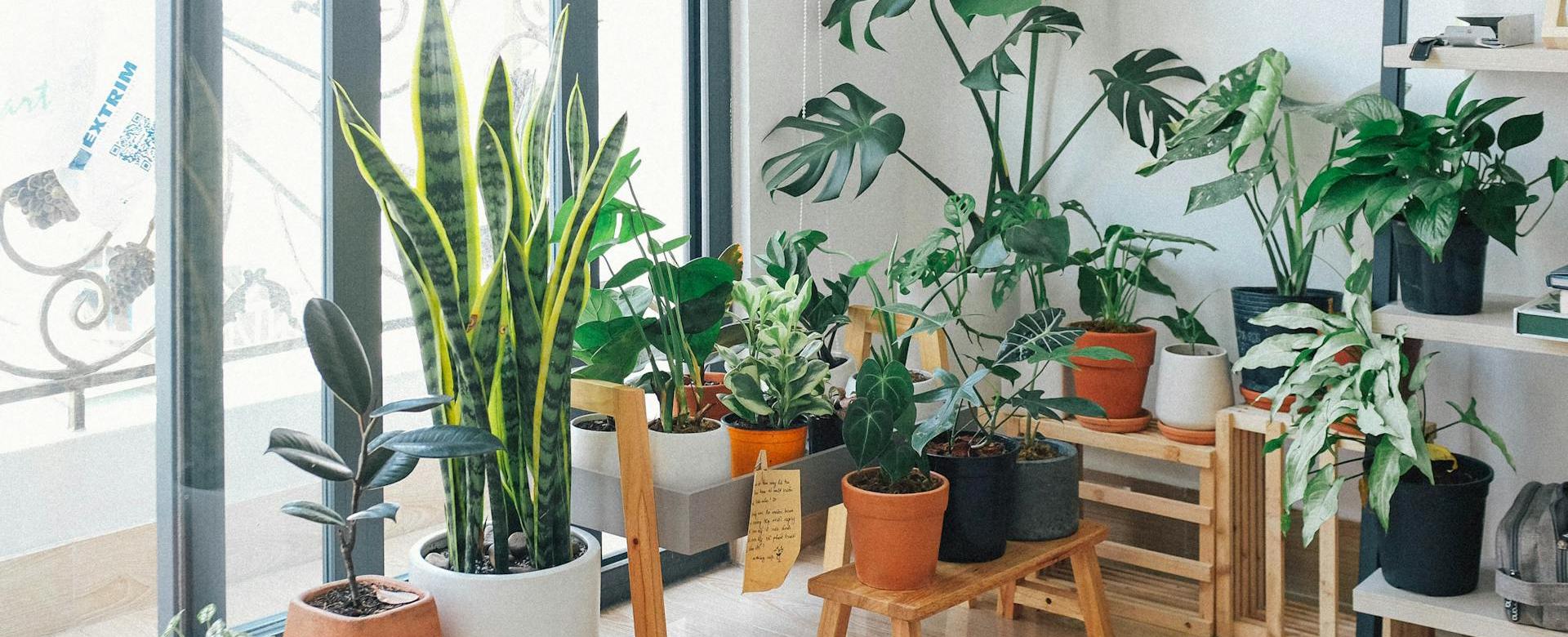 Garden Supply Store -Garden Supply Store pexels huy phan 316220 3076899